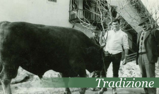 Tradizione, competenza e qualità - Nocker Speck